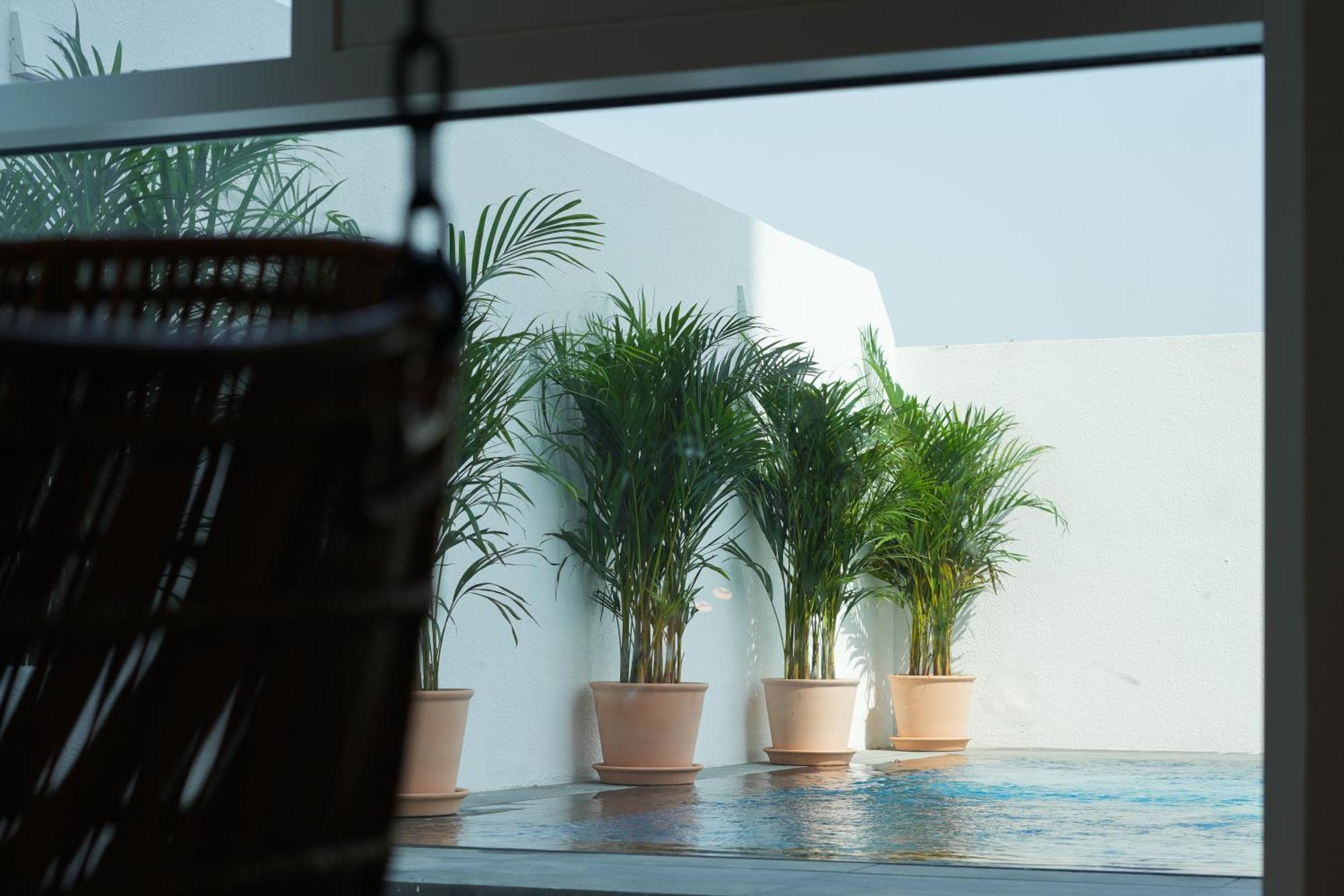 דובאי Shada Hotel Jumeirah Garden מראה חיצוני תמונה